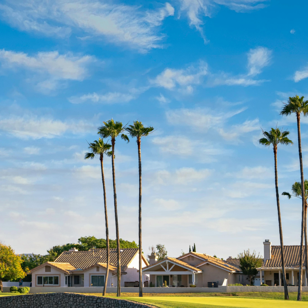 California -1 (1)