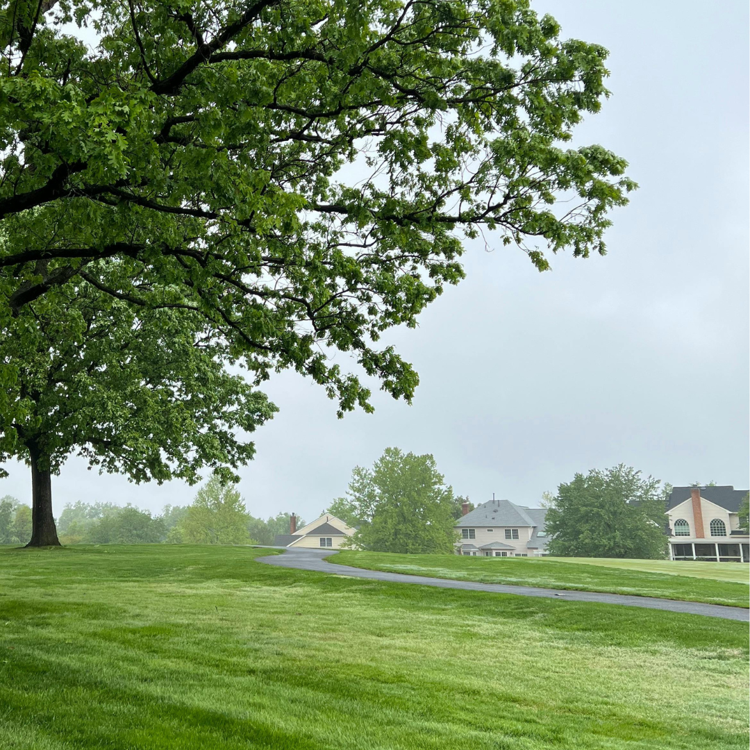 Virginia -1